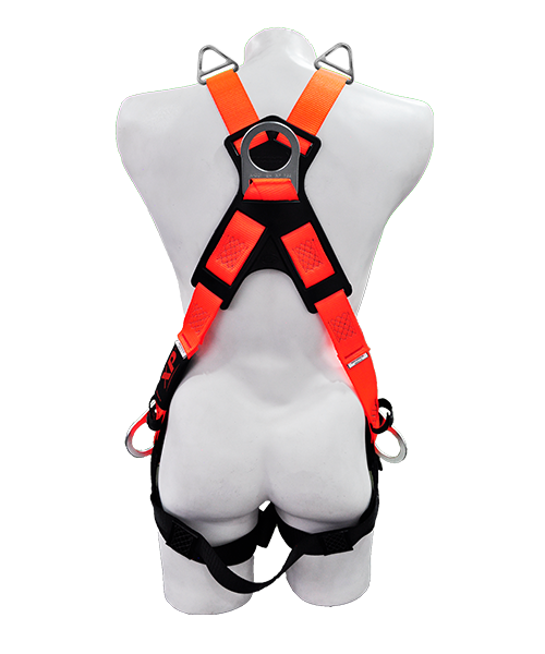 402-MT-X6. 2webp